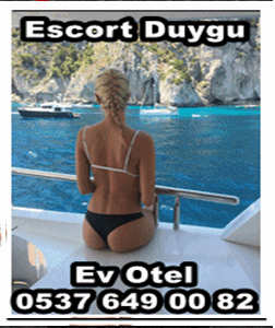 Duygu